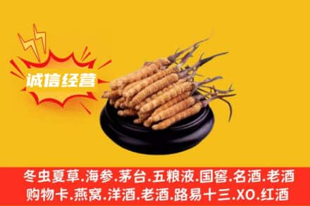 衢州市衢江回收冬虫夏草